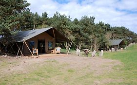 Safari Tent